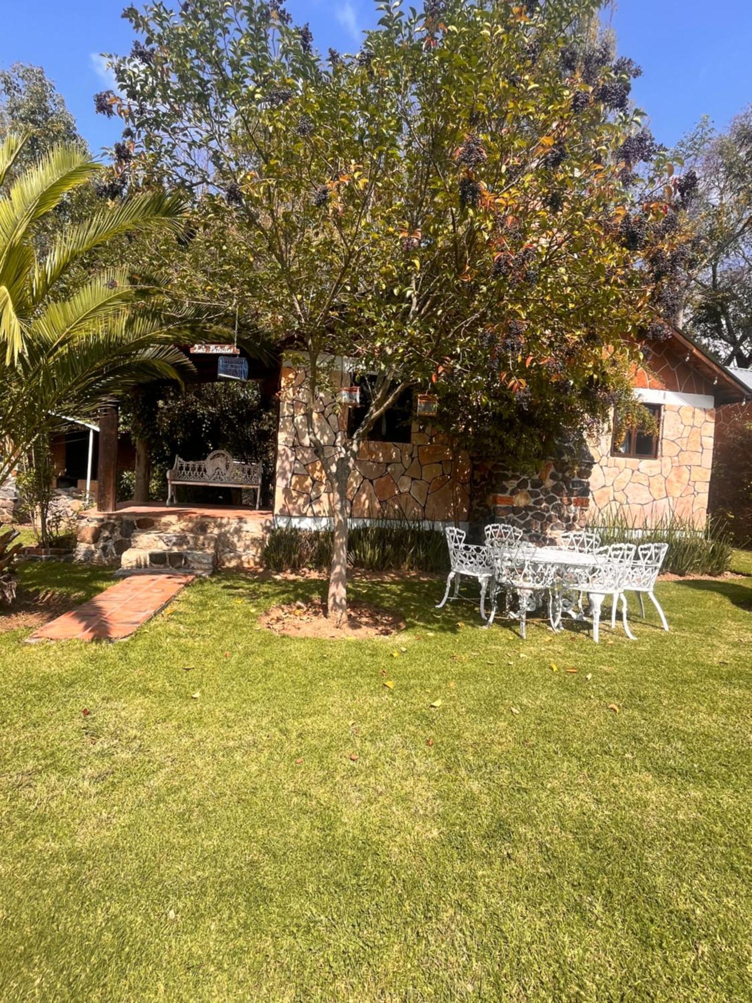 Cabanas Cumbres De Aguacatitla Huasca de Ocampo Exterior foto