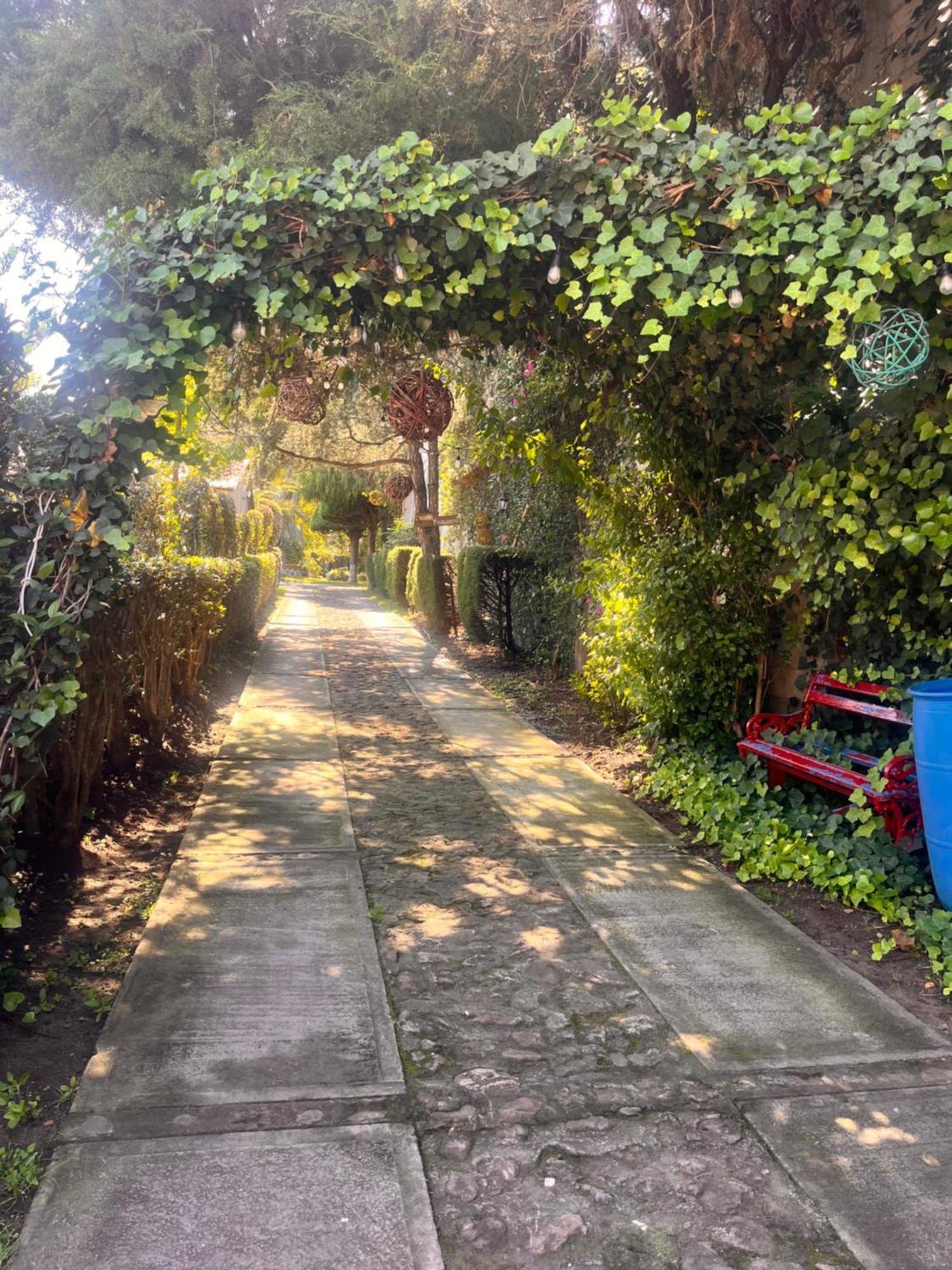 Cabanas Cumbres De Aguacatitla Huasca de Ocampo Exterior foto