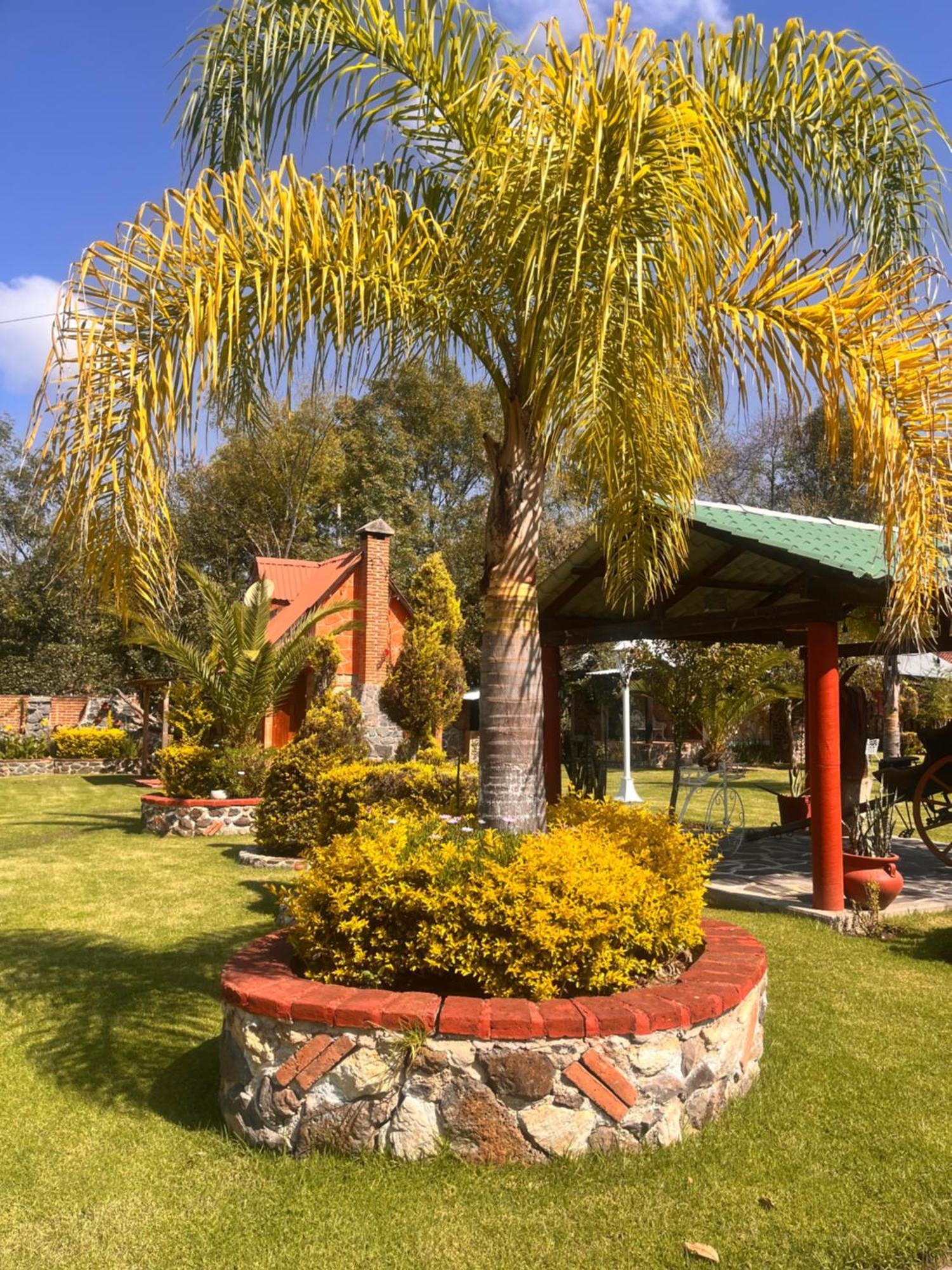 Cabanas Cumbres De Aguacatitla Huasca de Ocampo Exterior foto