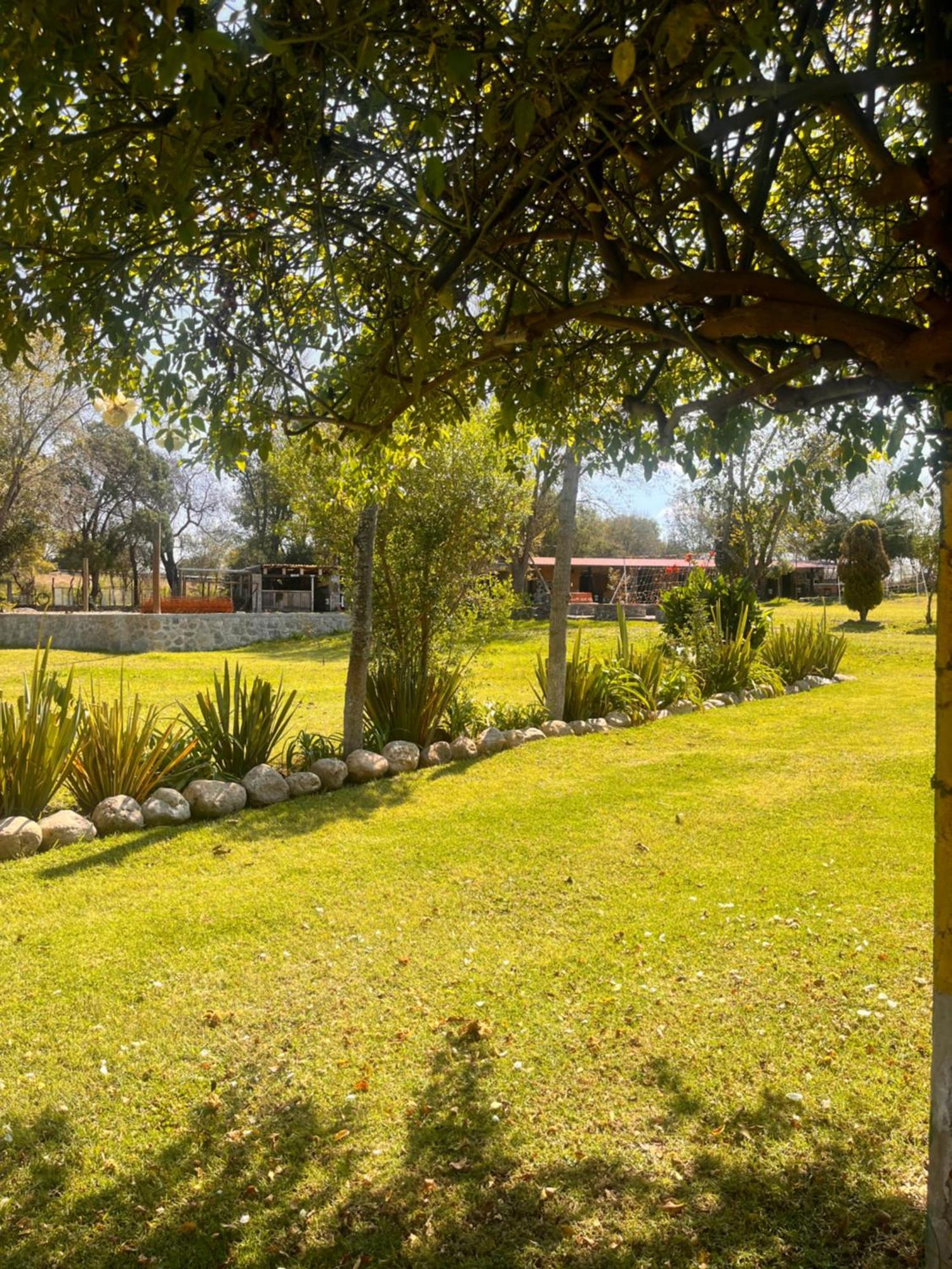 Cabanas Cumbres De Aguacatitla Huasca de Ocampo Exterior foto