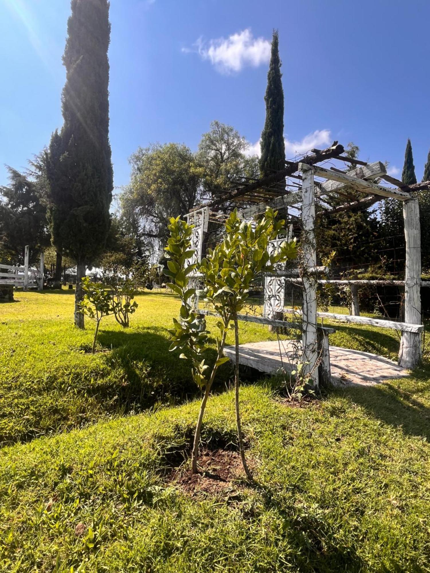 Cabanas Cumbres De Aguacatitla Huasca de Ocampo Exterior foto