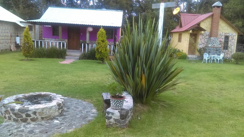 Cabanas Cumbres De Aguacatitla Vila Huasca de Ocampo Exterior foto
